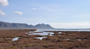Paisaje natural protegido en las Salinas de Cabo de Gata, Almería, con sus icónicas charcas rojizas y montañas al fondo.